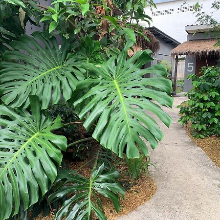 บ้านใจแปงโฮมสเตย์ Ban Jaipang Homestay 빠이 외부 사진