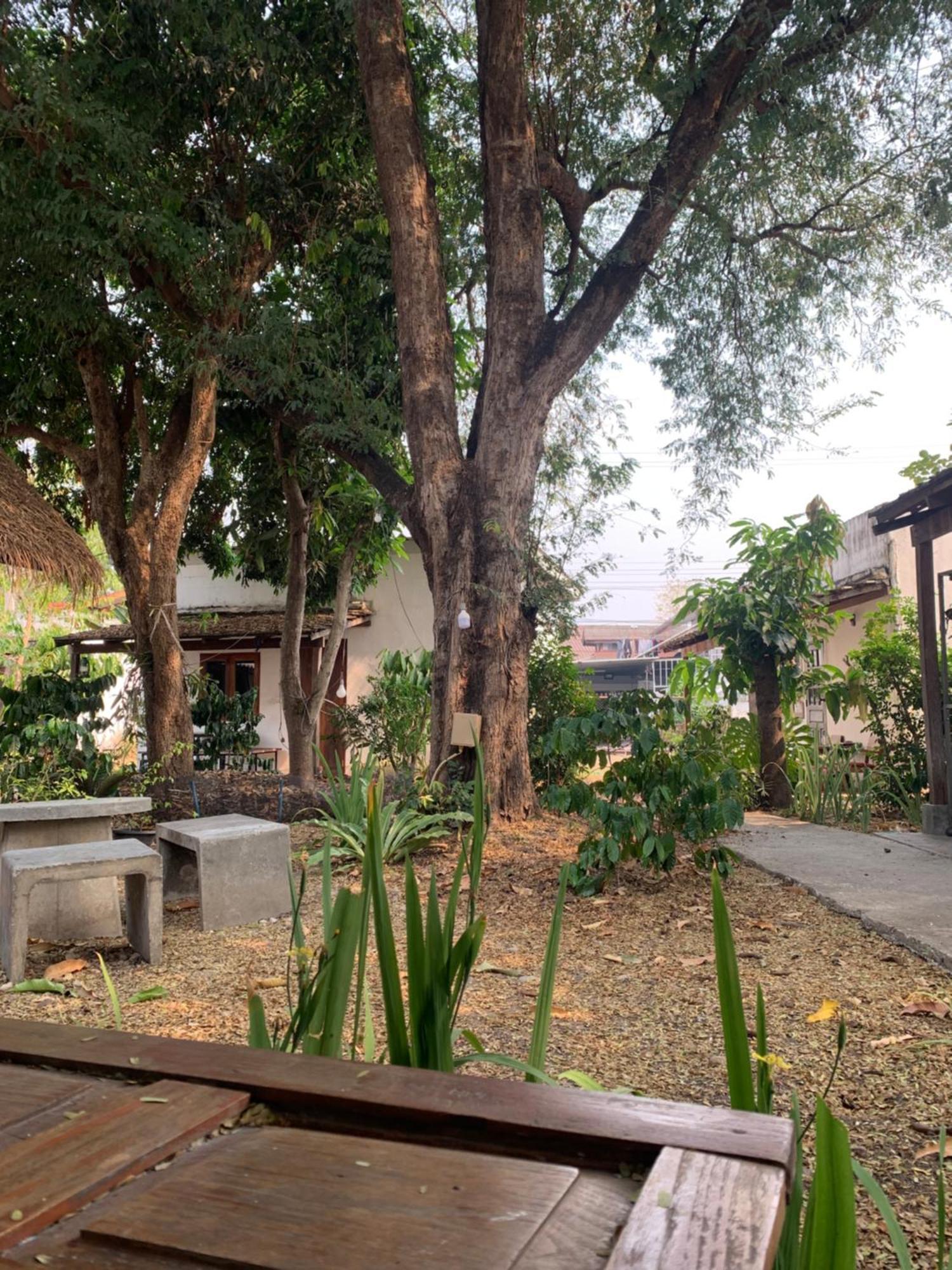 บ้านใจแปงโฮมสเตย์ Ban Jaipang Homestay 빠이 외부 사진