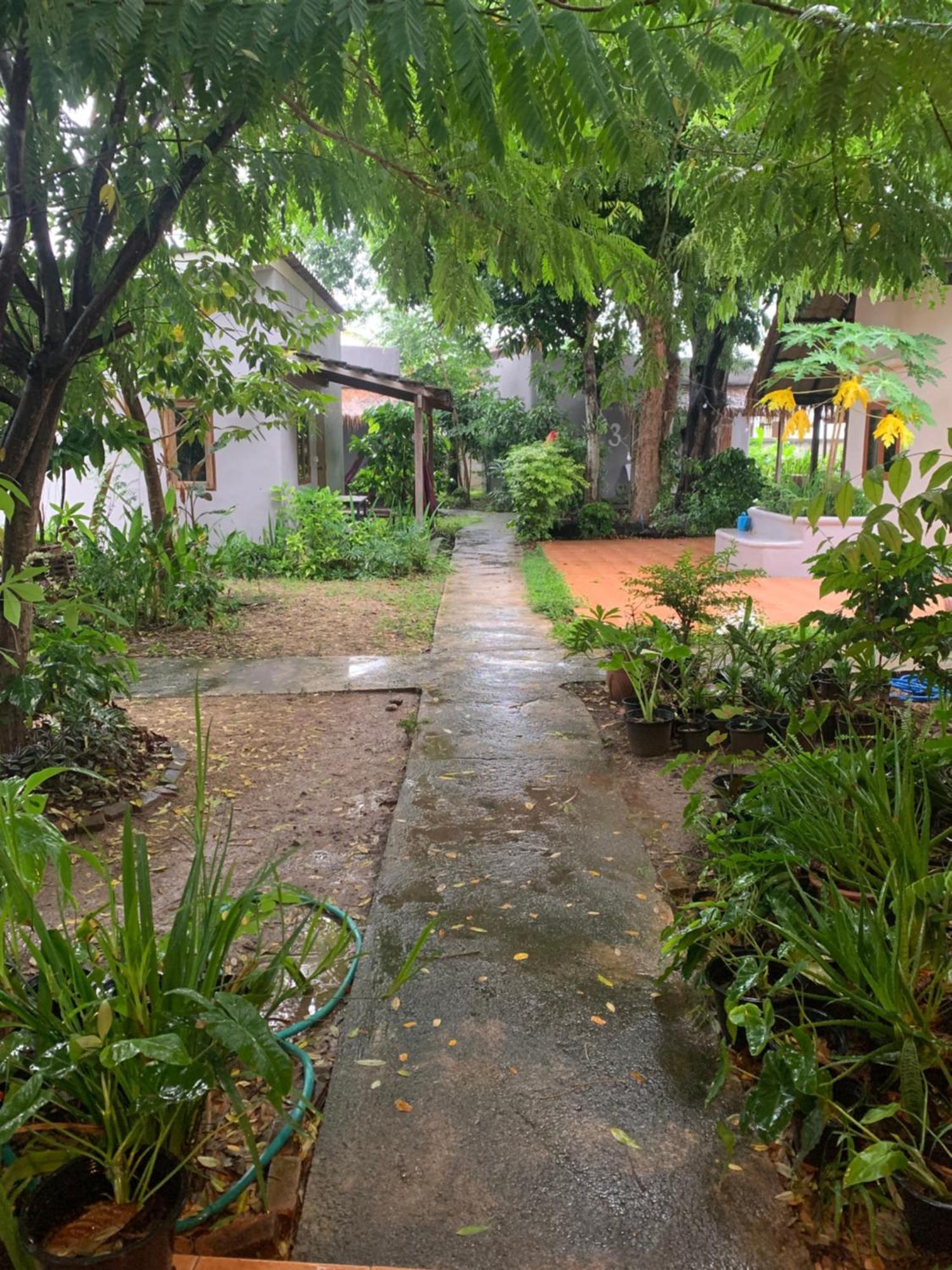 บ้านใจแปงโฮมสเตย์ Ban Jaipang Homestay 빠이 외부 사진