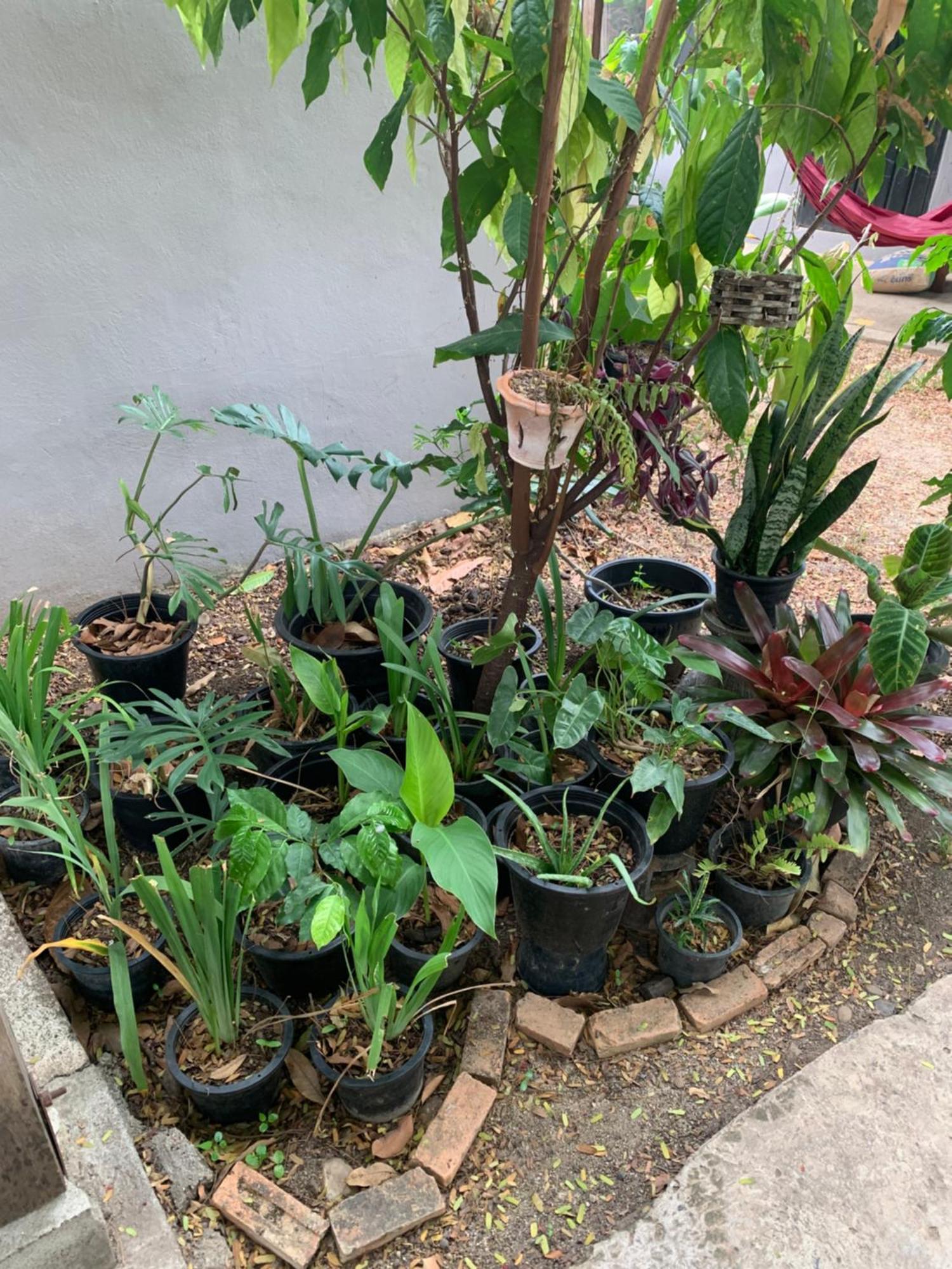 บ้านใจแปงโฮมสเตย์ Ban Jaipang Homestay 빠이 외부 사진